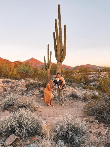 Scottsdale Desert Pregnancy Announcement // Emily Wertz, Local Luxury Real Estate.