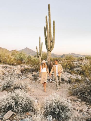 Scottsdale Desert Pregnancy Announcement // Emily Wertz, Local Luxury Real Estate.